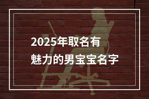 2025年取名有魅力的男宝宝名字