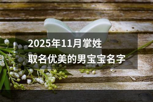 2025年11月掌姓取名优美的男宝宝名字