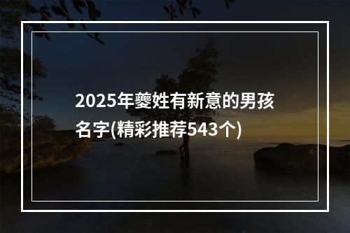 2025年夔姓有新意的男孩名字(精彩推荐543个)