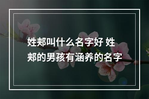姓郏叫什么名字好 姓郏的男孩有涵养的名字