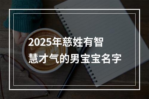 2025年慈姓有智慧才气的男宝宝名字