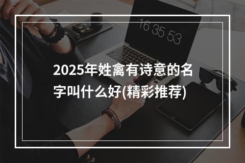 2025年姓禽有诗意的名字叫什么好(精彩推荐)