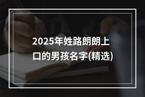 2025年姓路朗朗上口的男孩名字(精选)