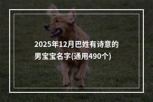 2025年12月巴姓有诗意的男宝宝名字(通用490个)