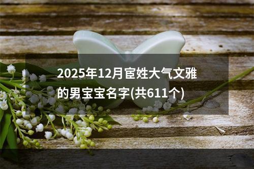 2025年12月宦姓大气文雅的男宝宝名字(共611个)