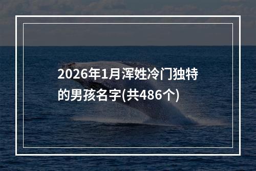2026年1月浑姓冷门独特的男孩名字(共486个)