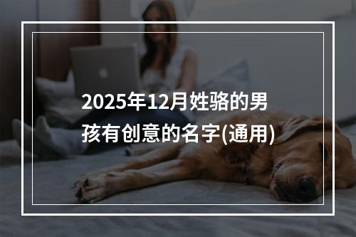 2025年12月姓骆的男孩有创意的名字(通用)