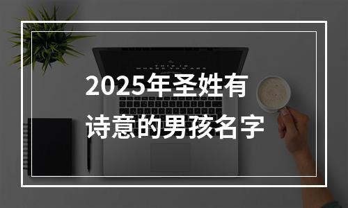 2025年圣姓有诗意的男孩名字