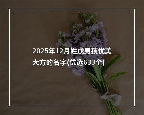 2025年12月姓戊男孩优美大方的名字(优选633个)