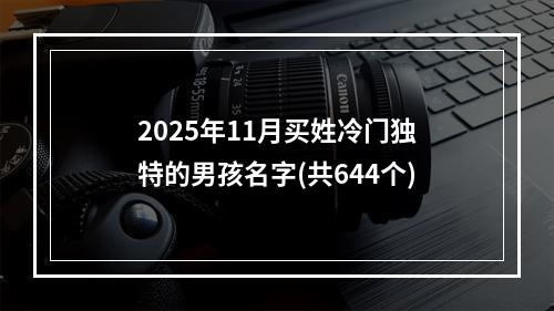 2025年11月买姓冷门独特的男孩名字(共644个)