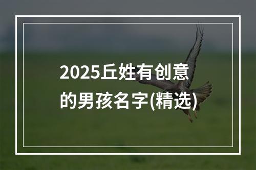 2025丘姓有创意的男孩名字(精选)