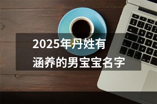 2025年丹姓有涵养的男宝宝名字