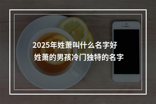 2025年姓萧叫什么名字好 姓萧的男孩冷门独特的名字