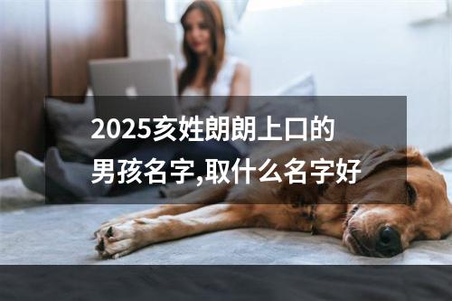 2025亥姓朗朗上口的男孩名字,取什么名字好