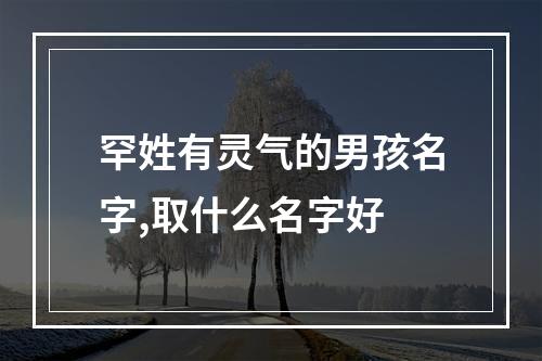 罕姓有灵气的男孩名字,取什么名字好