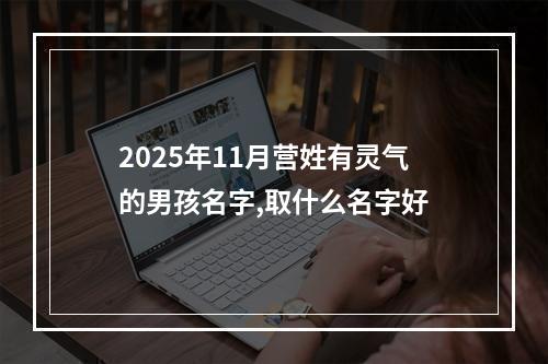 2025年11月营姓有灵气的男孩名字,取什么名字好