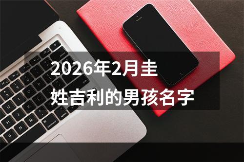 2026年2月圭姓吉利的男孩名字