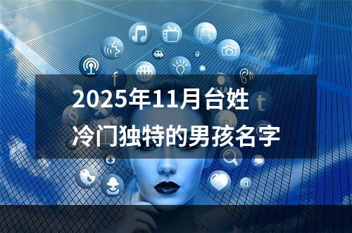 2025年11月台姓冷门独特的男孩名字
