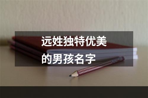 远姓独特优美的男孩名字