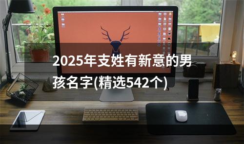 2025年支姓有新意的男孩名字(精选542个)