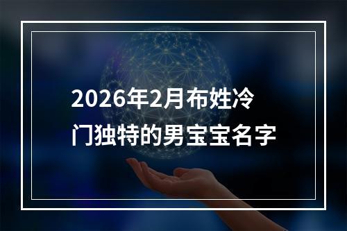 2026年2月布姓冷门独特的男宝宝名字