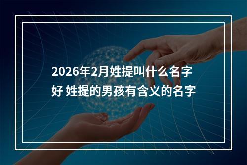 2026年2月姓提叫什么名字好 姓提的男孩有含义的名字