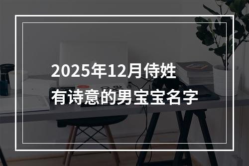 2025年12月侍姓有诗意的男宝宝名字