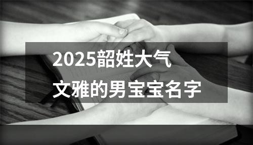 2025韶姓大气文雅的男宝宝名字