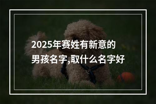 2025年赛姓有新意的男孩名字,取什么名字好
