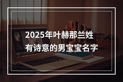 2025年叶赫那兰姓有诗意的男宝宝名字