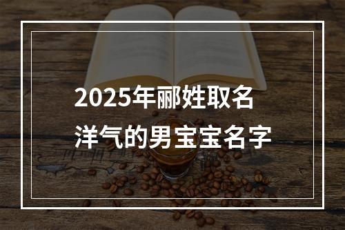 2025年郦姓取名洋气的男宝宝名字