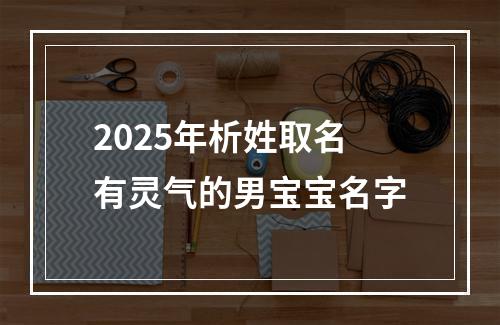 2025年析姓取名有灵气的男宝宝名字