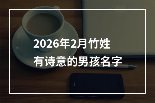 2026年2月竹姓有诗意的男孩名字