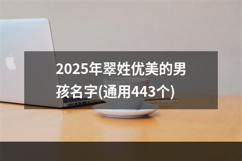 2025年翠姓优美的男孩名字(通用443个)