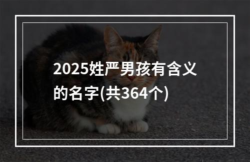 2025姓严男孩有含义的名字(共364个)