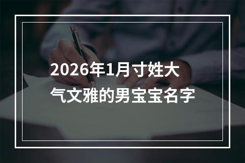 2026年1月寸姓大气文雅的男宝宝名字