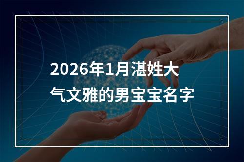 2026年1月湛姓大气文雅的男宝宝名字