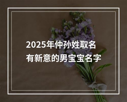 2025年仲孙姓取名有新意的男宝宝名字