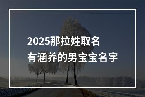 2025那拉姓取名有涵养的男宝宝名字