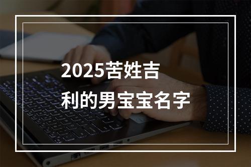 2025苦姓吉利的男宝宝名字