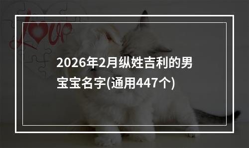 2026年2月纵姓吉利的男宝宝名字(通用447个)