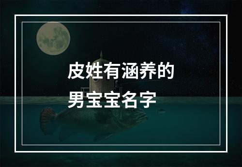皮姓有涵养的男宝宝名字