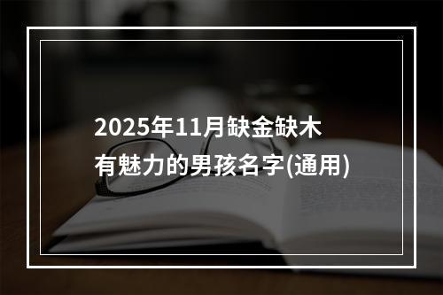 2025年11月缺金缺木有魅力的男孩名字(通用)