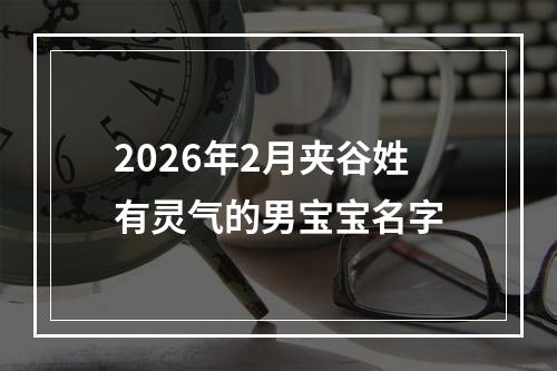 2026年2月夹谷姓有灵气的男宝宝名字