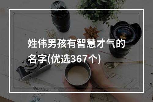 姓伟男孩有智慧才气的名字(优选367个)