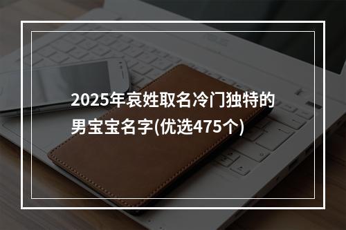 2025年哀姓取名冷门独特的男宝宝名字(优选475个)