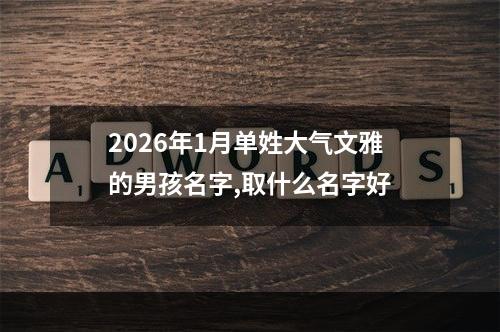 2026年1月单姓大气文雅的男孩名字,取什么名字好