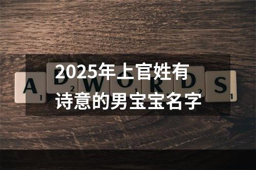 2025年上官姓有诗意的男宝宝名字