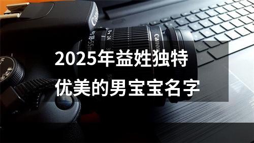 2025年益姓独特优美的男宝宝名字