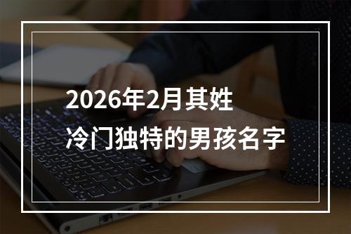 2026年2月其姓冷门独特的男孩名字